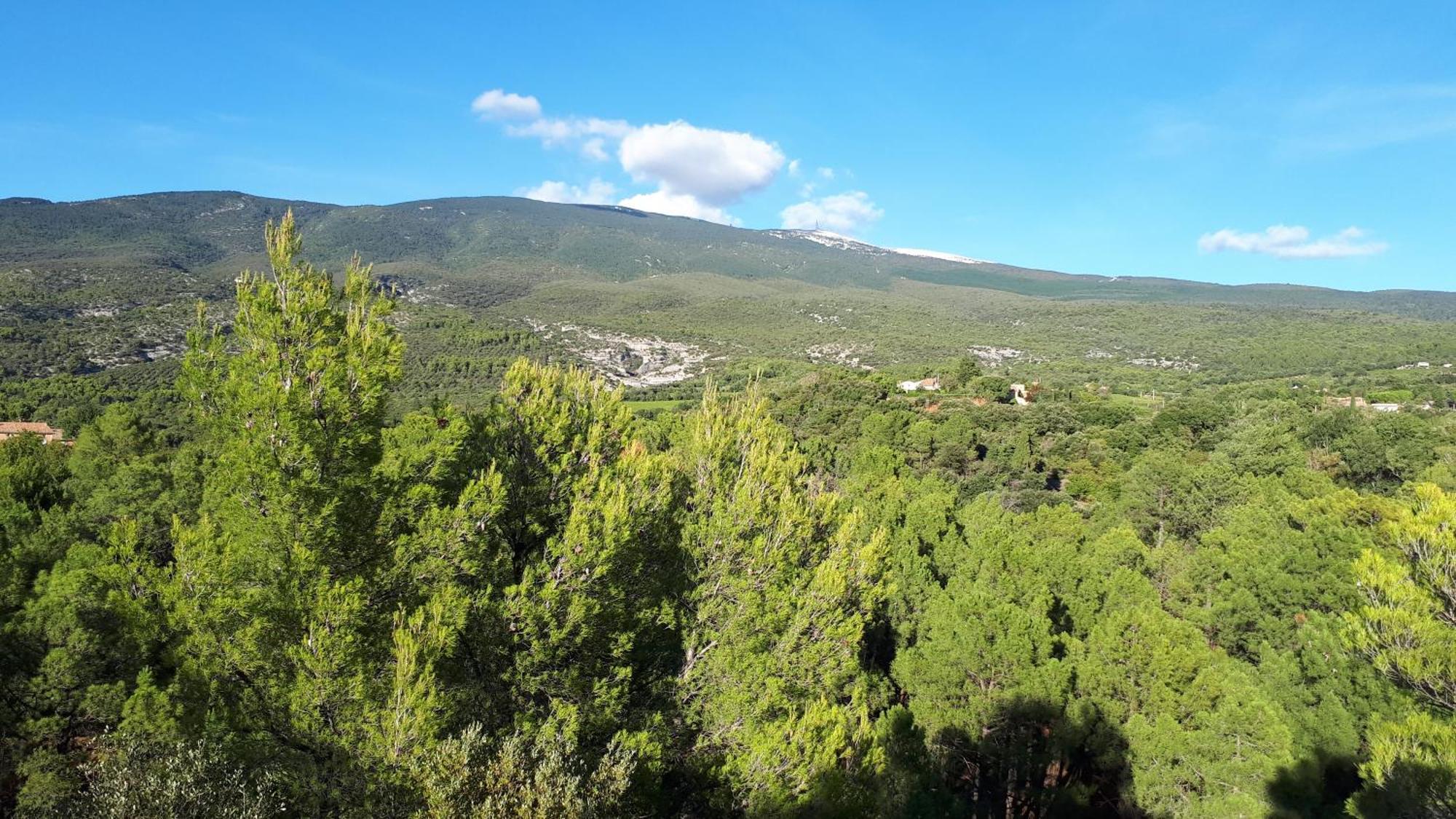 La Carriera, Petite Maison Sud Ventoux, Au Charme Provencal Bedoin Exterior photo